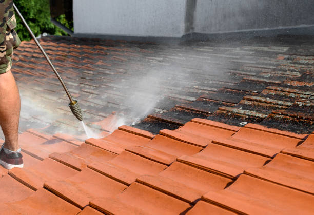 Best House Pressure Washing  in Pleasant Hill, MS