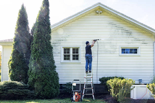 Best Pressure Washing Patio  in Pleasant Hill, MS